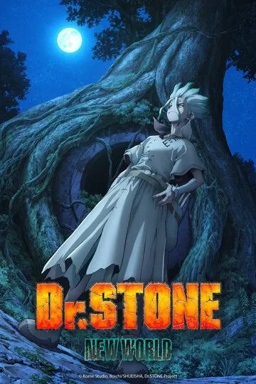 Доктор Стоун (2019)